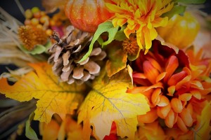 fall-flowers-2716513_960_720 (2)